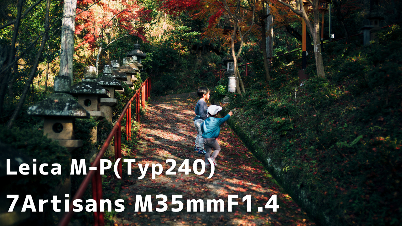 Leica M-P(Typ240) × 7Artisans M35mmF1.4白雲大社で紅葉を撮ってきた