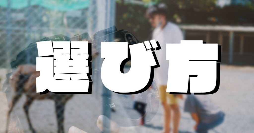 初心者向けのカメラレンタル！選び方のポイント